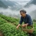 썸네일(스크롤)