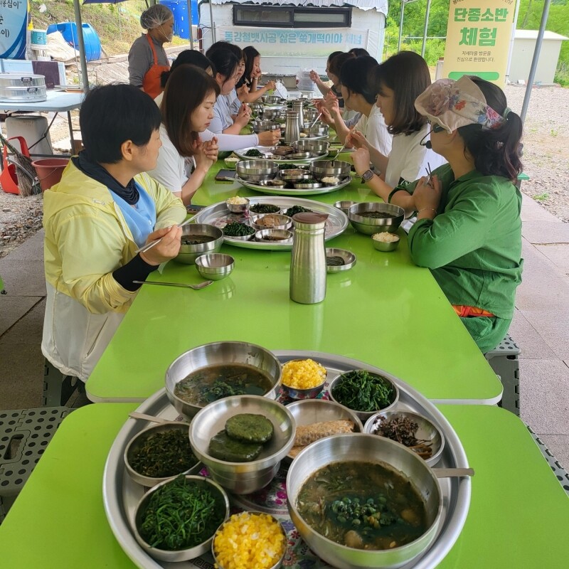 강원더몰,영월 저세마을 치유여행 - 피안의 반나절 치유코스